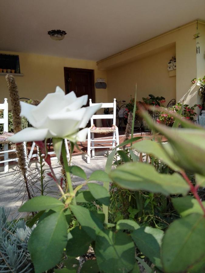 Casa Iovara Telese Esterno foto